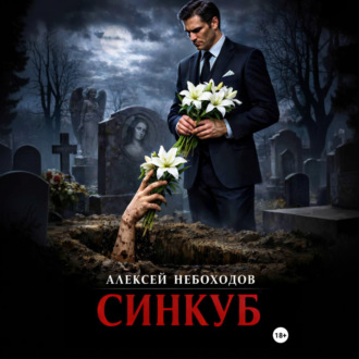 Обложка книги «Синкуб»