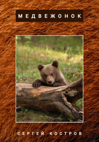 Медвежонок. Сергей Костров