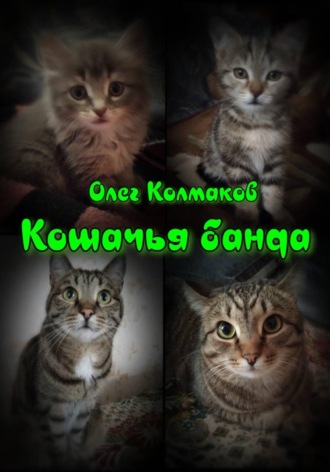 Обложка книги «Кошачья банда»
