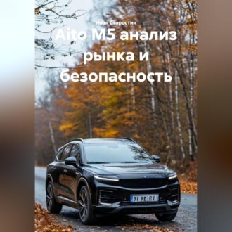 Обложка книги «Aito M5 анализ рынка и безопасность»