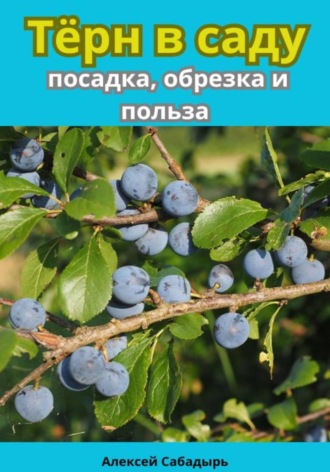 Обложка книги «Тёрн в саду посадка, обрезка и польза»