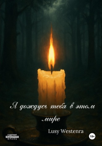 Обложка книги «Я дождусь тебя в этом мире»