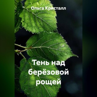 Обложка книги «Тень над берёзовой рощей»