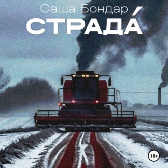 Обложка книги «Страда»