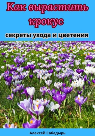 Обложка книги «Как вырастить крокус секреты ухода и цветения»