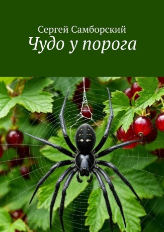 Обложка книги «Чудо у порога»