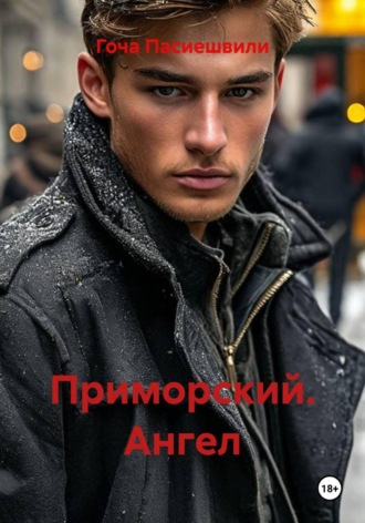 Обложка книги «Приморский. Ангел»