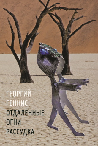 Обложка книги «Отдалённые огни рассудка»