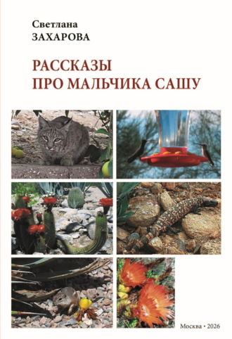 Обложка книги «Рассказы про мальчика Сашу»