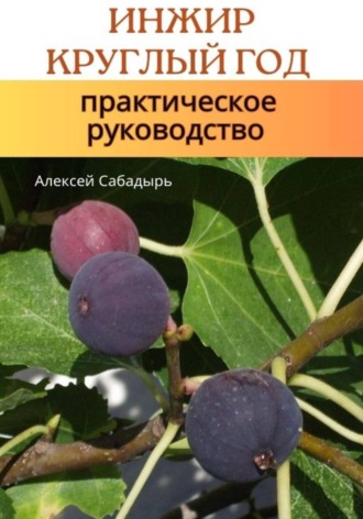 Обложка книги «Инжир круглый год практическое руководство»