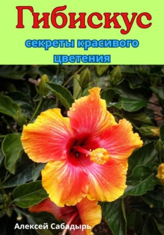 Обложка книги «Гибискус секреты красивого цветения»