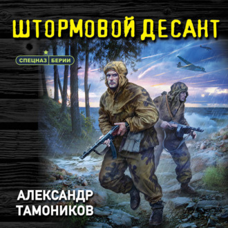 Обложка книги «Штормовой десант»