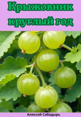 Обложка книги «Крыжовник круглый год»