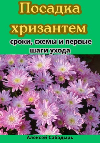 Обложка книги «Посадка хризантем: сроки, схемы и первые шаги ухода»
