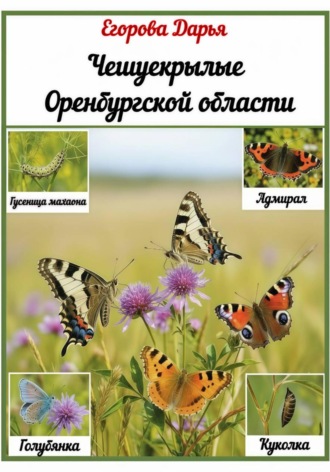 Дарья Егорова. Чешуекрылые Оренбургской области