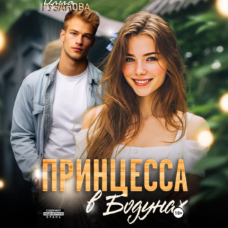 Обложка книги «Принцесса в Бодунах»
