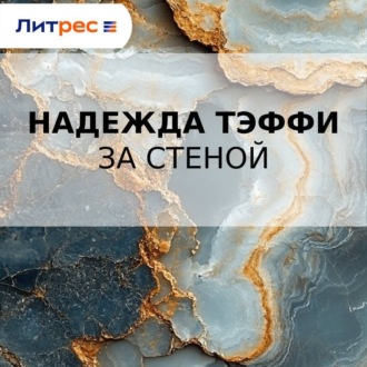 Обложка книги «За стеной»