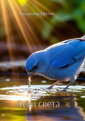 Владимир Афутин. Лучи света