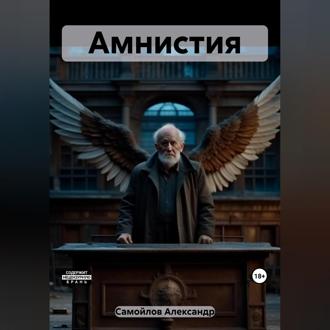 Обложка книги «Амнистия»