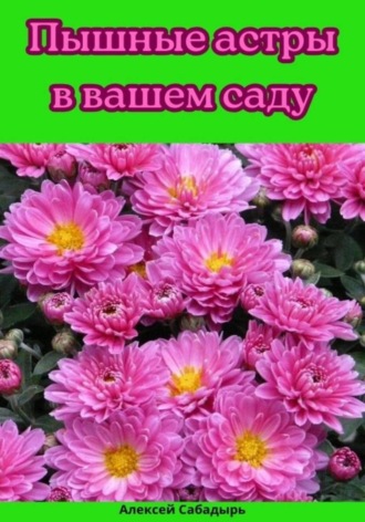 Обложка книги «Пышные астры в вашем саду»