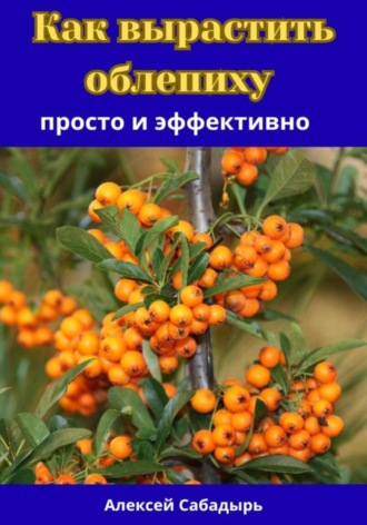 Обложка книги «Как вырастить облепиху просто и эффективно»