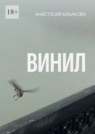 Обложка книги «Винил»