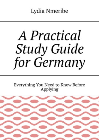 Обложка книги «A Practical Study Guide for Germany. Everything You Need to Know Before Applying»