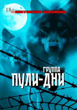Обложка книги «Группа «Пули-Дни». Избранные песни»