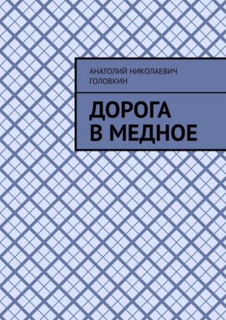 Обложка книги «Дорога в Медное»