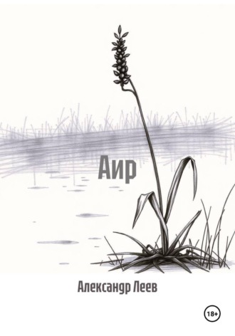 Александр Леев. Аир