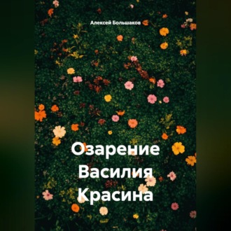 Обложка книги «Озарение Василия Красина»