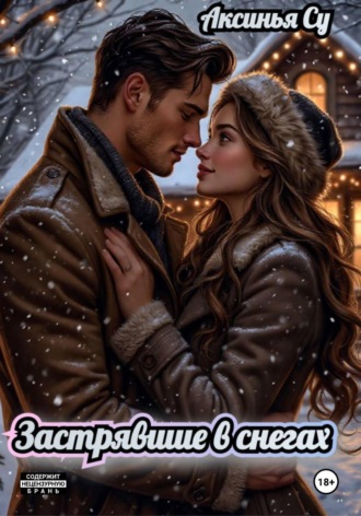 Обложка книги «Застрявшие в снегах»