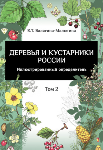 Обложка книги «Деревья и кустарники России. Иллюстрированный определитель. Том 2»