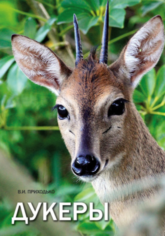 В. И. Приходько. Дукеры (Cephalophinae)