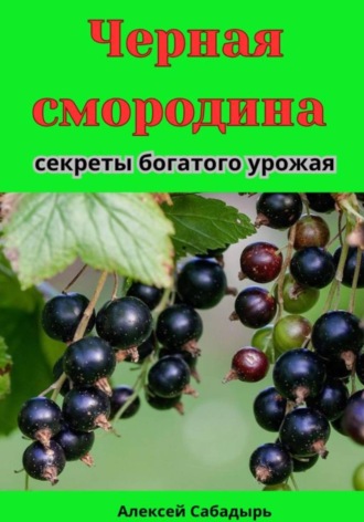 Обложка книги «Черная смородина секреты богатого урожая»