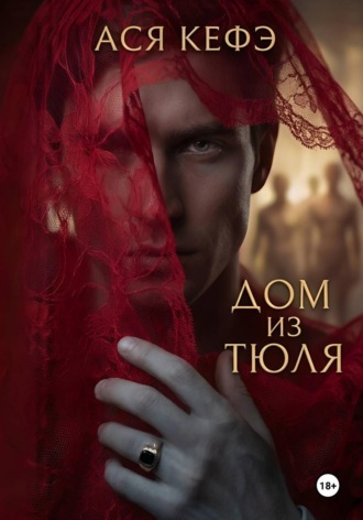 Обложка книги «Дом из тюля»