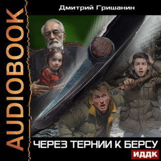 Обложка книги «Берс – 4. Через тернии к берсу»