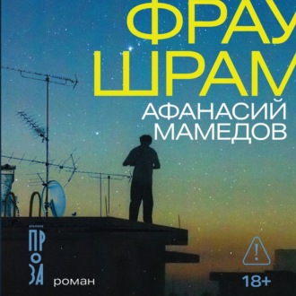 Обложка книги «Фрау Шрам»