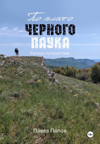 Обложка книги «По плато черного паука»