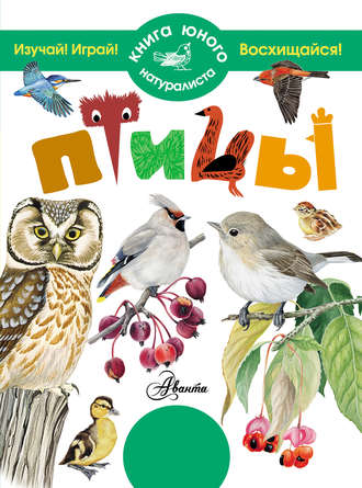 Обложка книги «Птицы»