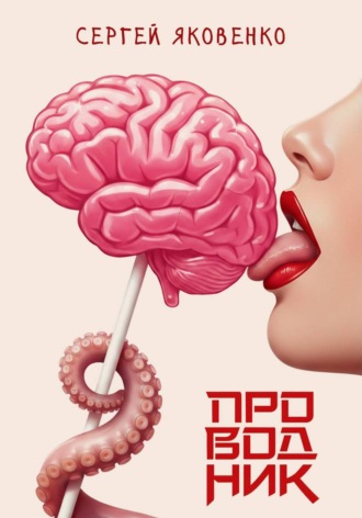 Обложка книги «Проводник»