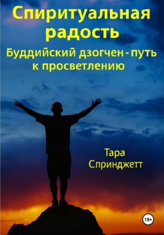 Обложка книги «Спиритуальная радость Буддийский дзогчен - путь к просветлению»