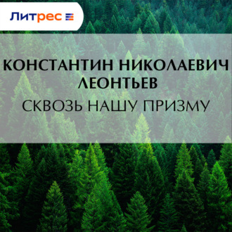 Обложка книги «Сквозь нашу призму»