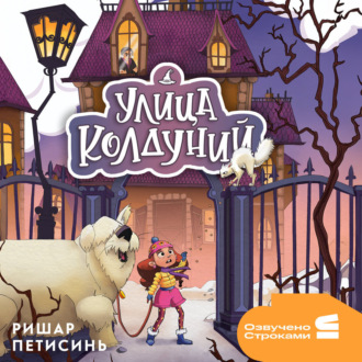 Обложка книги «Улица Колдуний»