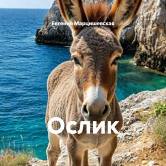 Обложка книги «Ослик»