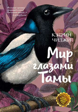 Мир глазами Тамы. Кэтрин Чиджи