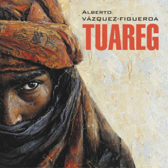 Обложка книги «Туарег. Tuareg. Аудиокнига»
