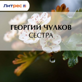 Обложка книги «Сестра»