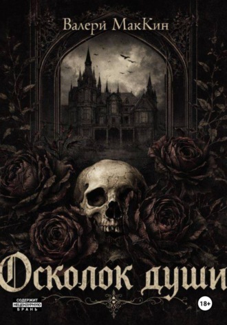 Обложка книги «Осколок души»