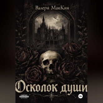 Обложка книги «Осколок души»